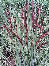 �Ñ�� ���� �ԕ� �Ε�