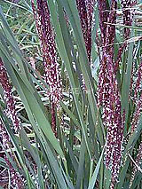 �Ñ�� ���� �ԕ� �Ε�