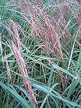 �Ñ�� ���� �ԕ� �Ε�